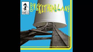 Buckethead - Swollen Trees