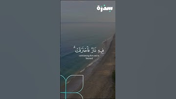 ايه فأصابها إعصار فيه نار فاحترقت - ماهر المعيقلي بصوت خاشع سورة #البقرة #quran #قرآن #لايك #راحة