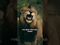 Never gave up #foryou #motivation #video #yt #islamicstatus #viral #viralvideo
