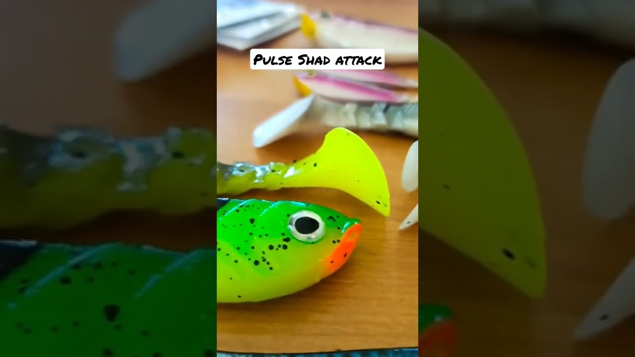 Pulse Shad attack!