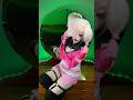 ANGEL DUST COSPLAY #hazbinhotelcosplay #angeldust #cosplayworld #cosplaying #cosplay