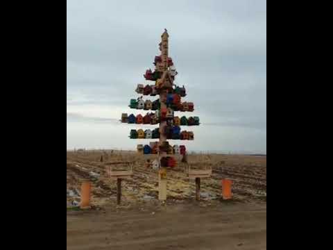 скворечник