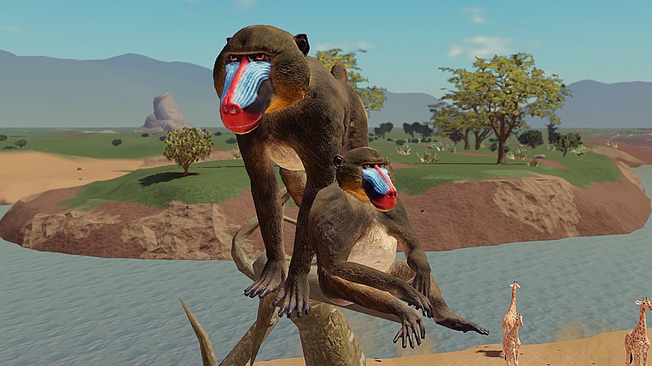 BABUÍNO O terror dos Carnívoros! Savannah Life ROBLOX