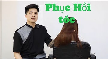 Hướng dẫn phục hồi tóc hư tổn nặng