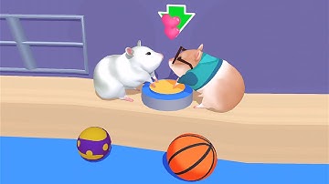 NOOB vs PRO vs HACKER in Hamster Maze  ( Part 3 )