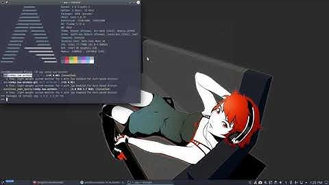 ArcoLinux : 1610 Issue with conky or lua conky - Problem with polybar - how to solve them - rebuild
