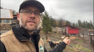 OPERATION PIED PIPER is well under way! by Off-Grid with Curtis Stone 9,448 views 6 months ago 24 minutes