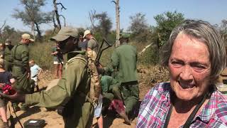 Rescuing and raising a baby rhino in the Savé Valley Conservancy - Rocky and Anne's Story