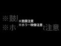 これがお手本の悲鳴 #ホラゲー #ホラゲー実況 #悲鳴 #チラズアート #ヒトカラ #Vtuber #ギャル #ギャルしか勝たん