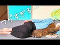新型コロナウイルスに感染しました