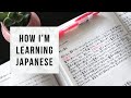 Japanese textbook tour & study tips | 私の日本語の勉強方法 #LearnJapanese #Polyglot