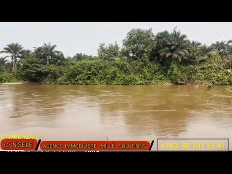 25 7 2025 TRÈS BELLE OPPORTUNITE SUR RIVIÈRE NSELE 5HECTZRES 243901913341