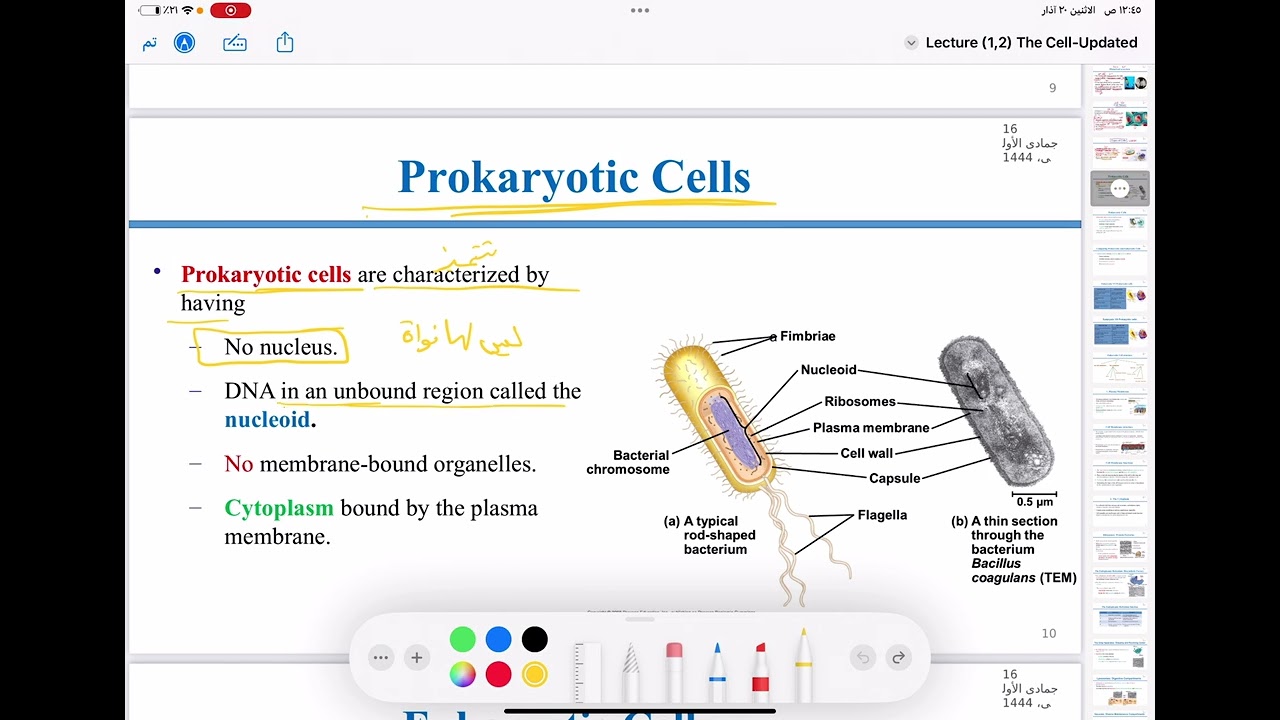 احياء شابتر 1 ج3