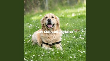 Pulsating Moods for Cute Hope