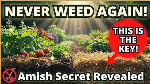 "Stop Weeding FOREVER! Ancient Amish Garden Secret Eliminates Weeds Without Chemicals or Tilling