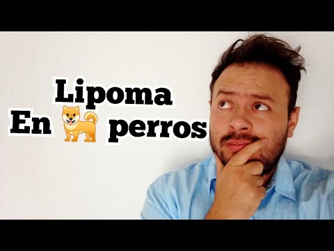 Video: ¿Cuál es toda la controversia sobre el vigor híbrido en los perros?