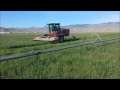 Cutting Green Hay Goodness at Alderspring