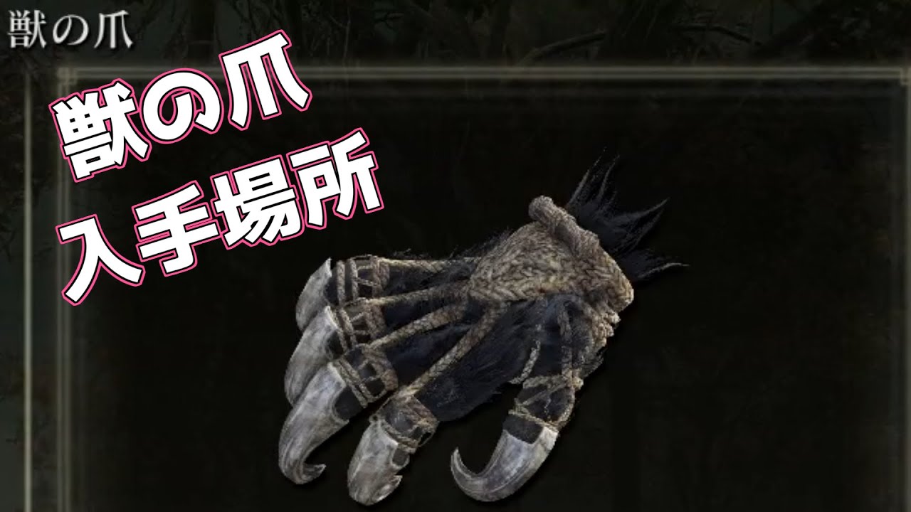 エルデンリングDLC】獣の爪 入手場所 - YouTube