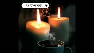 Ahmet Kaya Söyle Durum Videosu