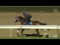 Owendale Breeders' Cup Work 10.19.19