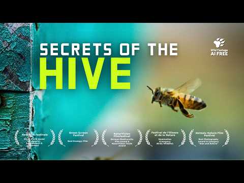 Are “Killer Bees” our only Hope? | 4K Nature Documentary