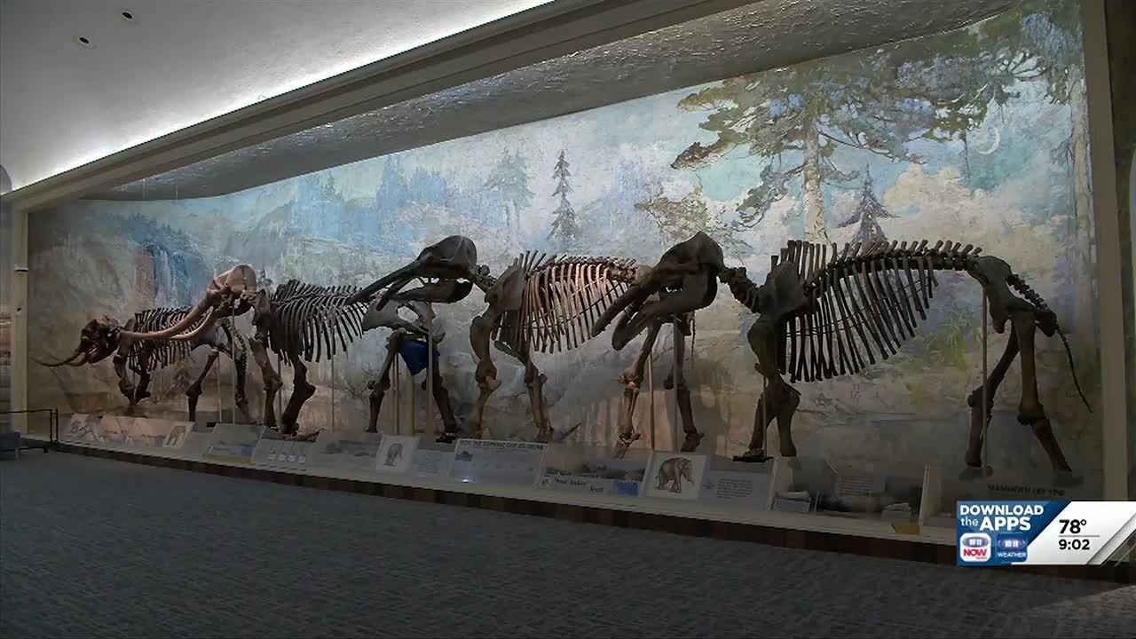 Morrill Hall renovations highlight art, exhibits with updates