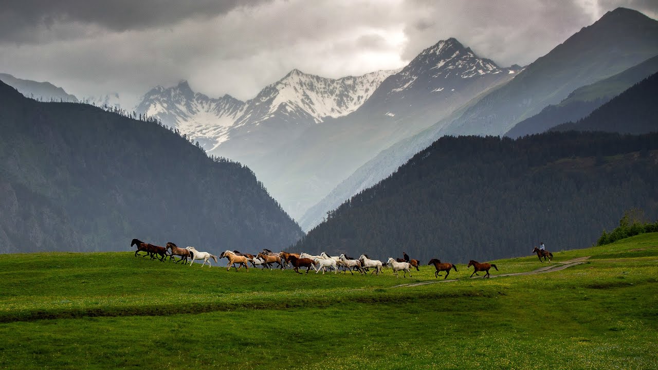 GÜRCİSTAN (2. BÖLÜM) TUSHETİ : YILKI ATLARIYLA, ORTA ÇAĞLARDAN KALMA KÖYLERİYLE BİR MASAL DİYARI