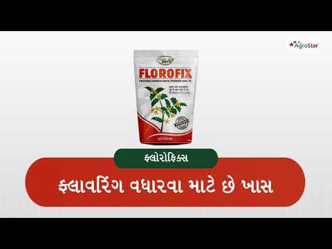 Florofix_GJ - Florofix_GJ