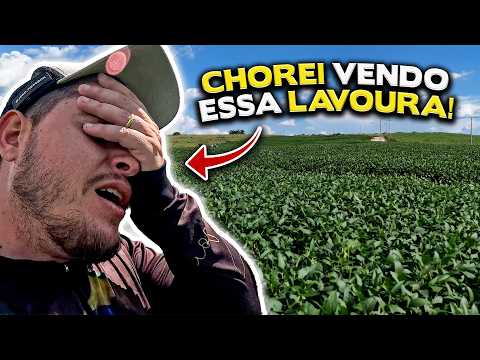 Our worst area is going to produce a lot! | What did we do to achieve this?