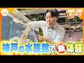 デンキウナギで“相性診断”!? リニューアルした神戸の水族館で新体験！【テッパン朝ライブ じゅーっと！/じゅーっ特集！生中継】