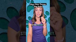 Mayo Clinic study finds therapy dogs help stroke patients during recovery.