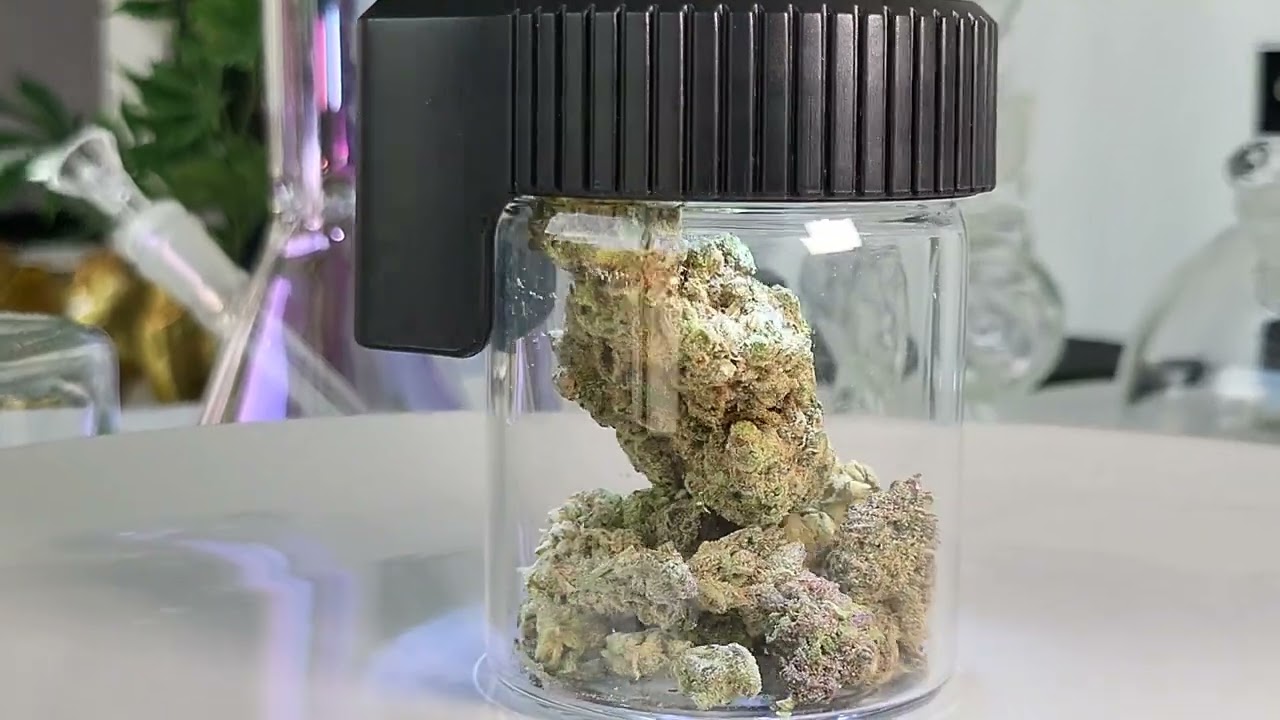 Jack The Ripper | WARROOM