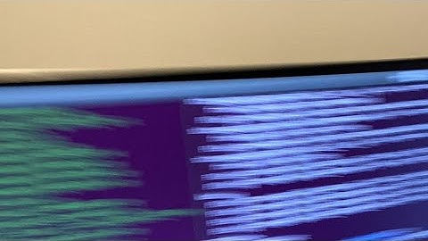 openpilot in the simulator!