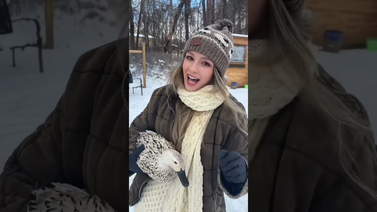 i came back old call duck