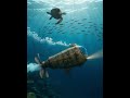 Dzhikoni and the Submarine #fiction #fantasy #booktok #adventure #humor #audiobook