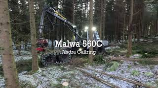 Malwa 560c Andra Gallring