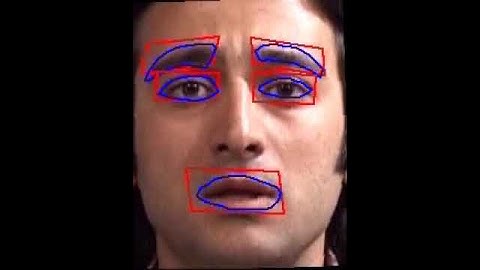 facial feature tracking