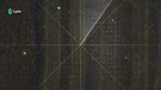 Cybel Imagery For Crop Detection In Agricultural Environment