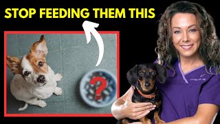 World's #1 Vet Reveals The Best & Worst Foods For Your Pets