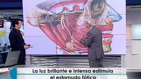 ¿Cuando miras a la luz estornudas?