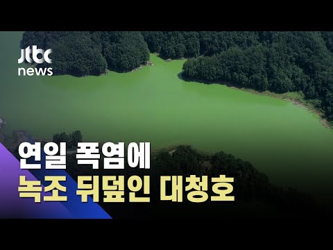연일 폭염에 녹조 뒤덮인 대청호…&amp;quot;<strong>식수원</strong> 위협&amp;quot; / JTBC 아침&amp;amp;