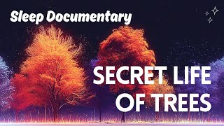 The Secret Life of Trees: A Calming Sleep Story on Forest Biology and Plant Intelligence