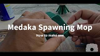 How to Make DIY Medaka Spawning Mops