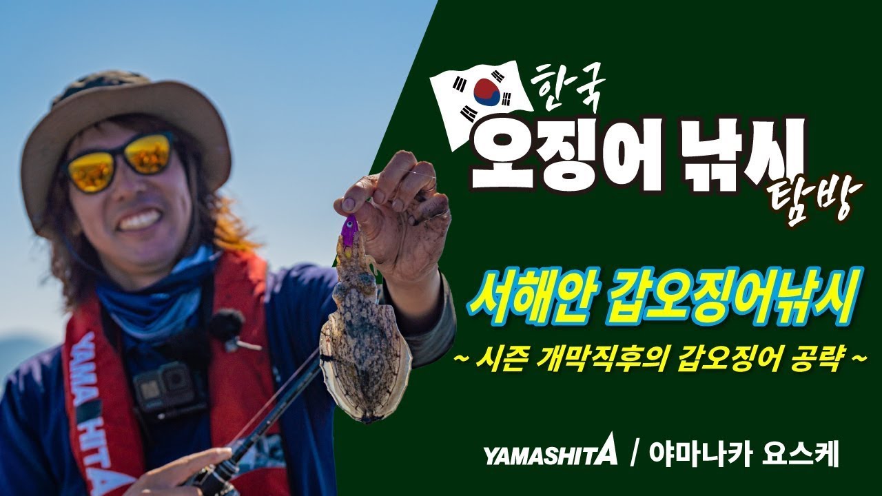 야마나카 요스케의 한국 오징어낚시 탐방기 ～서해안의 갑오징어～