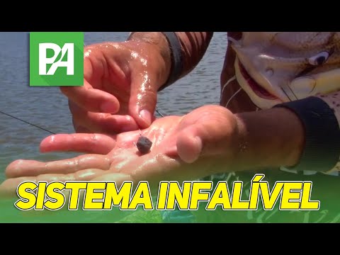 Sistema infalível no Pesqueiro Cat Fish - Pescando Entre Amigos S08E01