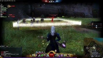 Guild Wars 2 : Elixir Gun Engineer PvP Build [Game2]
