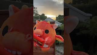 That was the best day EVER! 💗  #snackles #snacklesofficial #snacklestoys #zuru #zurutoys #plush