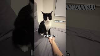 O Eli̇ İndi̇recen.