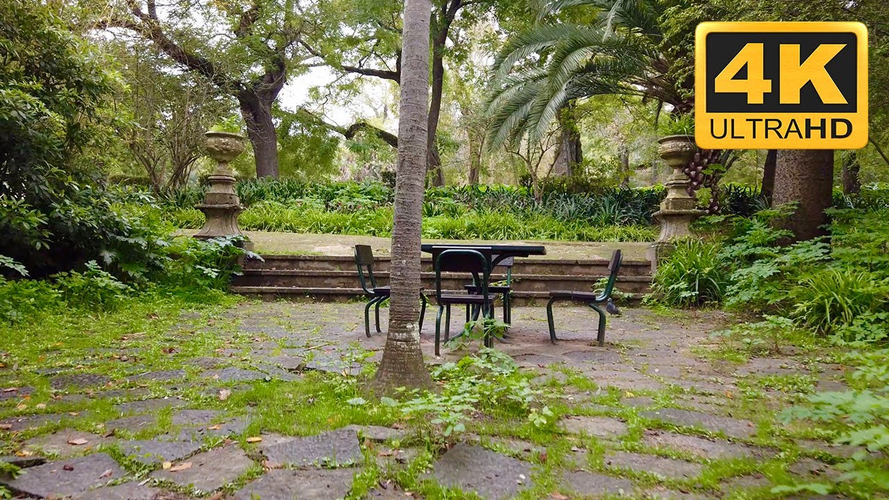 After rain walk in Tapada das Necessidades, Lisbon - HDR (Portugal)