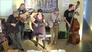 Video thumbnail of "The Oldtime Stringband - The Way it Goes (Gillian Welch cover)"